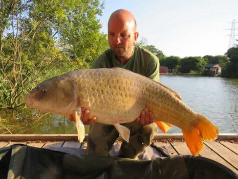 Follyfoot Fishery, Carp Fishery in North Petherton, Somerset