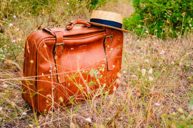 vintage-old-brown-suitcase-surrounded-by-abandoned-plants-countryside_47726-1536.jpg