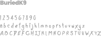Tipografia primária do logotipo - Buriedk9