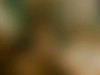 Técnicas de Ilustração Para Turbinar Suas Campanhas de Marketing