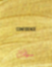 Copy of Add a heading (8).png