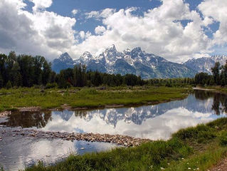 National Parks are 100!