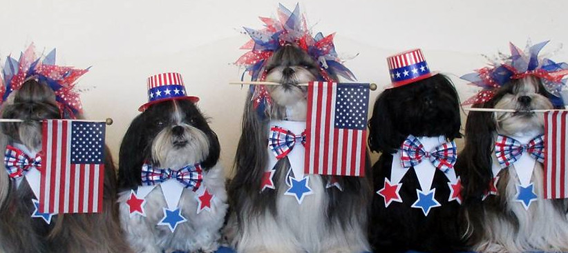 Judi4thJuly.jpg