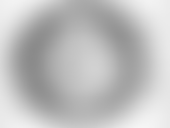 Rest in Peace: Hollow Earth Theory