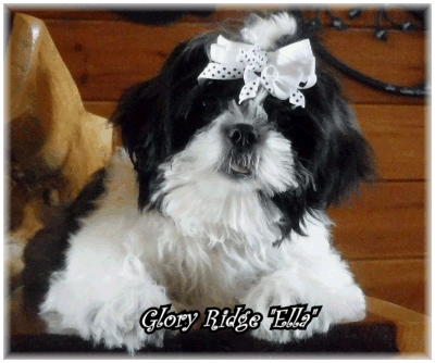 Ella.gif