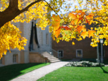 Fall Happenings in Alexandria