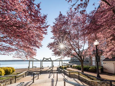 Featured Spring Events Coming Soon to Alexandria!