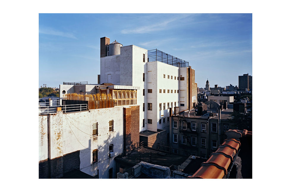 East Village Penthouse | architect