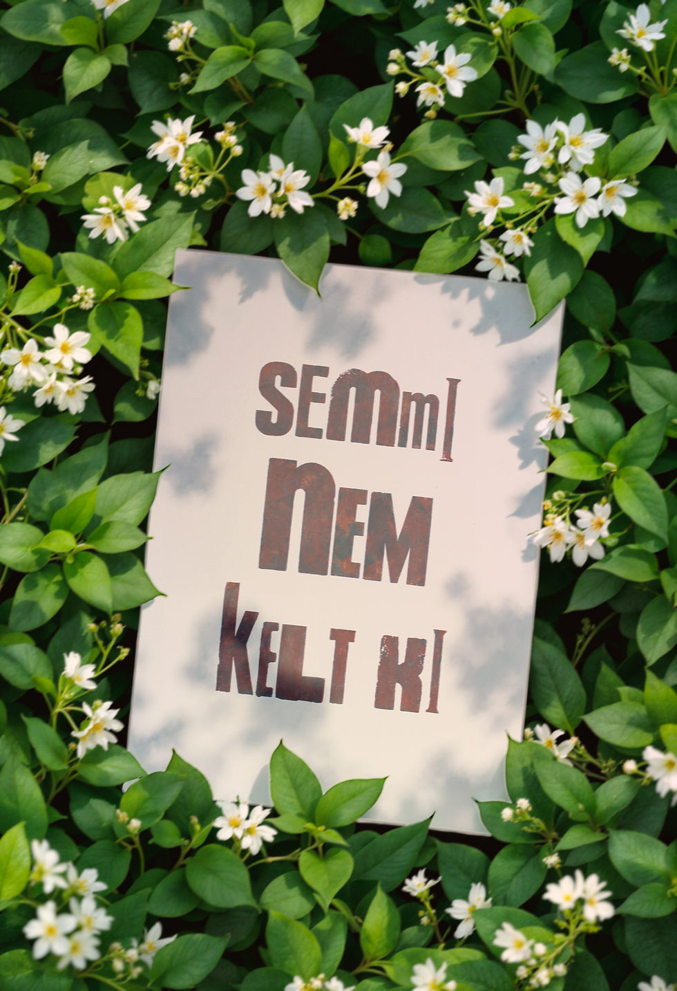 Indexkép: Semmi nem kelt ki - No12