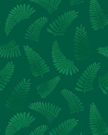 Fern Leaves.png