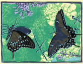 swallowtails_green.jpg