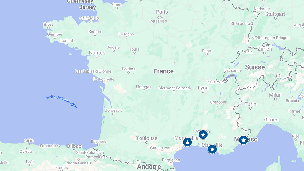 Capture d’écran 2025-03-23 à 08.35.24.png