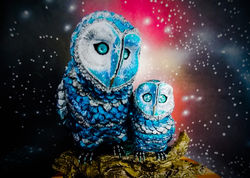 Owl detail