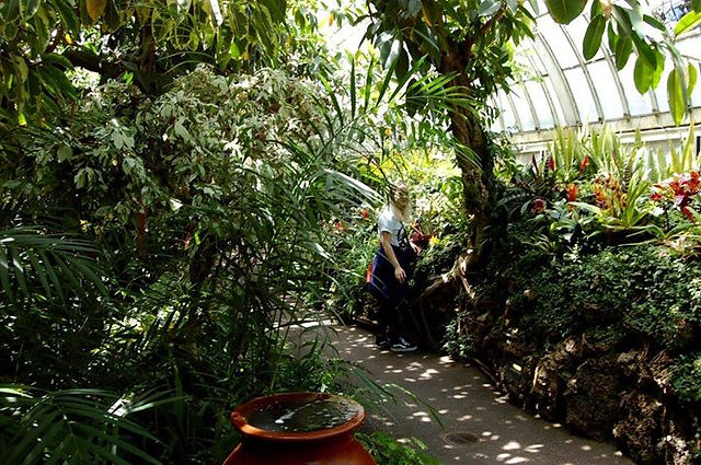Phipps Conservatory and Botanical Gardens, Pittsburgh PA