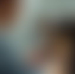 How to Support Animal Welfare in the UAE – Highlight Local NGOs, Volunteering, and Donation Opportunities