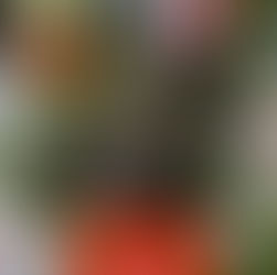 НОВИНИ ЖОВТНЯ ВІД «КОЖНОЇ ТВАРИНИ»