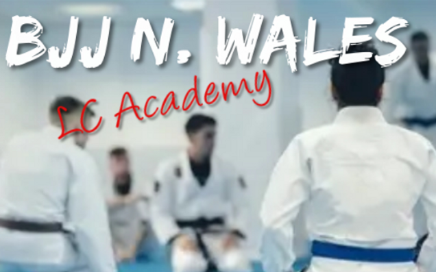 BJJ example photo.png