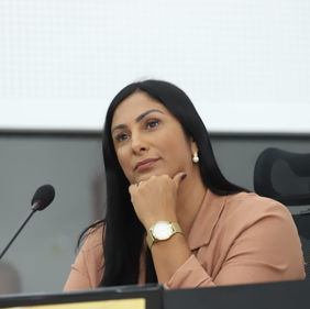 Vereadora Joice Pedra propõe novo projeto de urbanização da BR-356 entre São João da Barra e Atafona