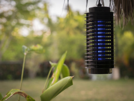 Why bug zappers don’t work?