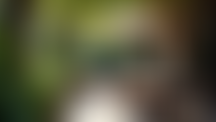 Why Your Restaurant's Pest Control Can't Keep Mosquitoes Away on the Patio