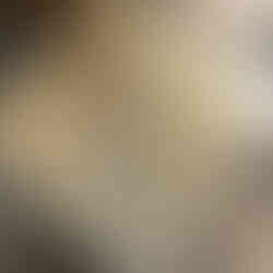 Meuble sur mesure hôtel Montparnasse daguerre