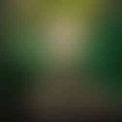 Table sur mesure paris thème végétal