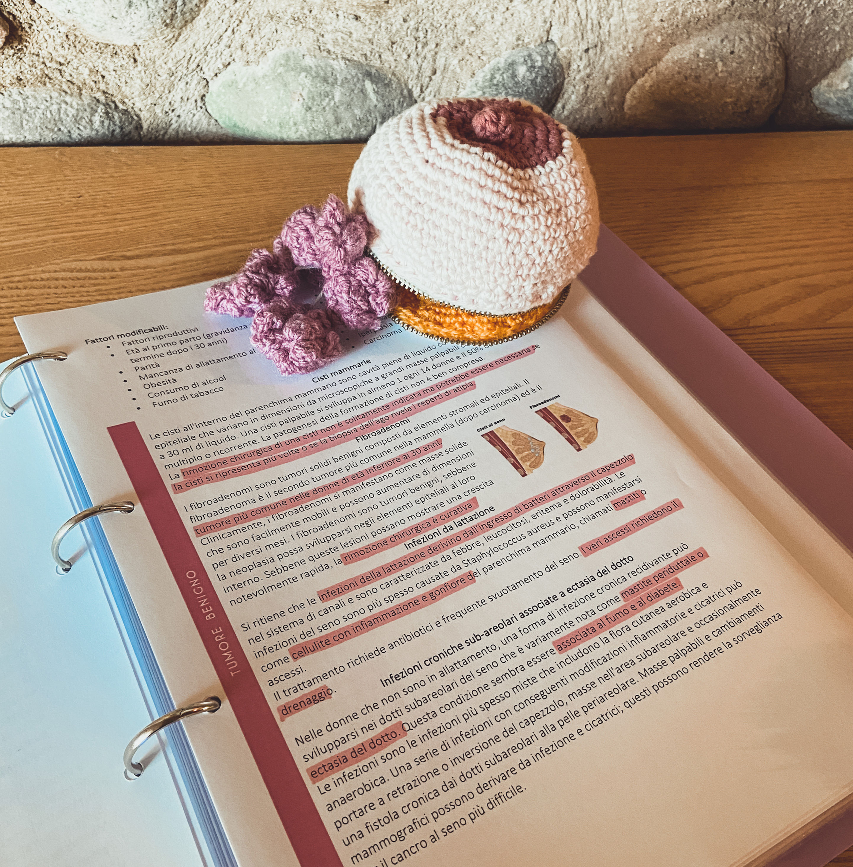 Appunti EBN e Legislazione