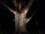 Illuminate the Night