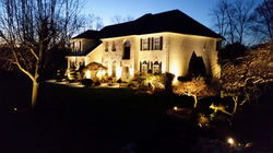 Illuminate the Night