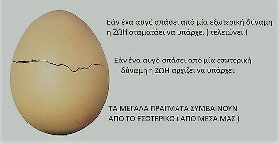 ΣΠΑΣΜΕΝΟ ΑΥΓΟ.jpg