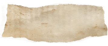 Newspaper1.png