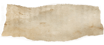 Newspaper1.png