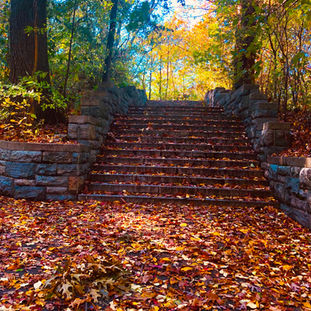 Prospect Park, Park, City Park, Brooklyn, Fall, Autumn, Trees, Staircase
