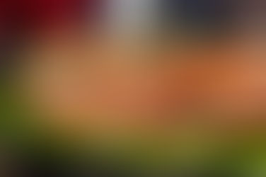 Fishes that help you go Budget-Friendly and Sustainable