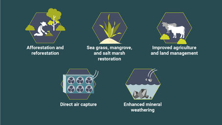 Emissions Removal Projects Images
