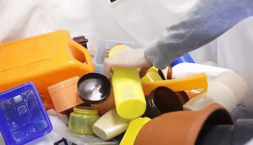 PhysicalPotableAntelopegroundsquirrel-si