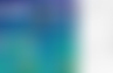 ¿Con o sin capa de personalización?