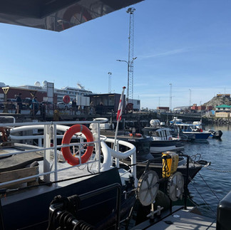Nuuk, Greenland on Vanguard