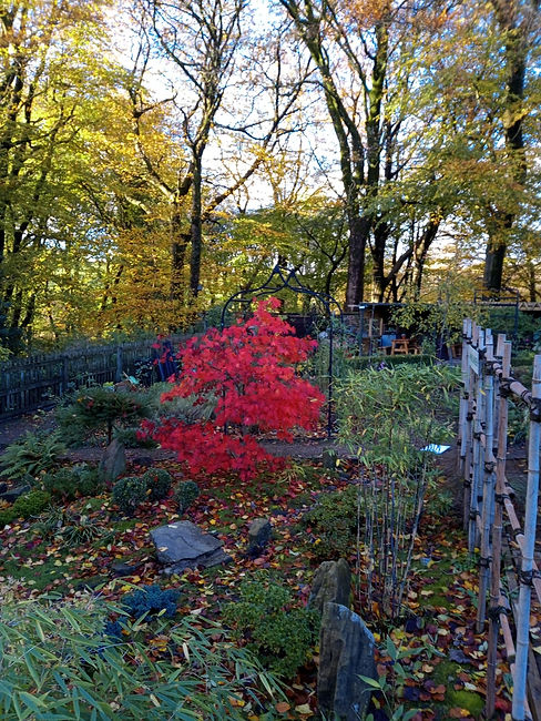 Autumn at Turton Tower Kitchen Garden