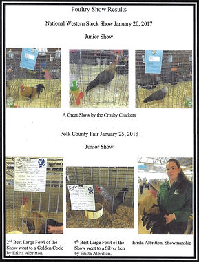 2018-1 lk city polk fair_edited.jpg