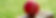 net-booking-banner.jpeg
