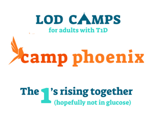 Why We Host Camp Phoenix Each Summer: Empowering Adults with Type 1 Diabetes to Thrive