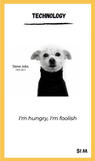 Steve dog.jpeg