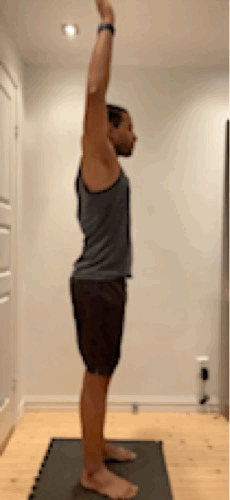 upper body flexion.GIF