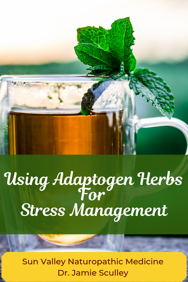 adaptogen herbs for stress, naturopathic medicine