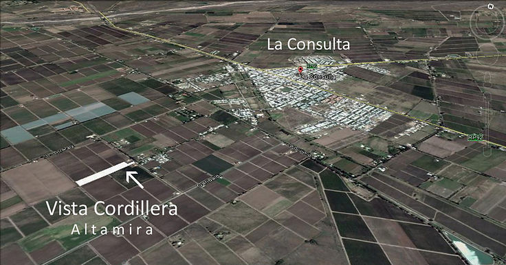 La Consulta copia.jpg