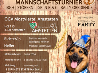 3. Oktoberfestturnier