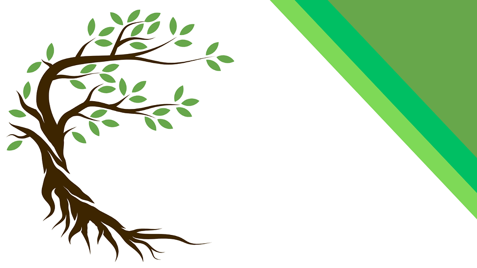 Progetto senza titolo (1).png