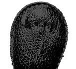 button%20mystery%20bag%20ghost_edited_ed