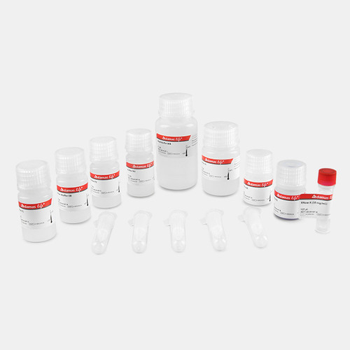Endofree Plasmid DNA Mini Extraction Kit HK Labware Shop
